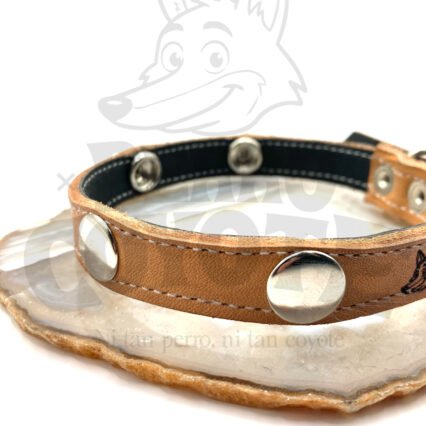 Collar Click and Love